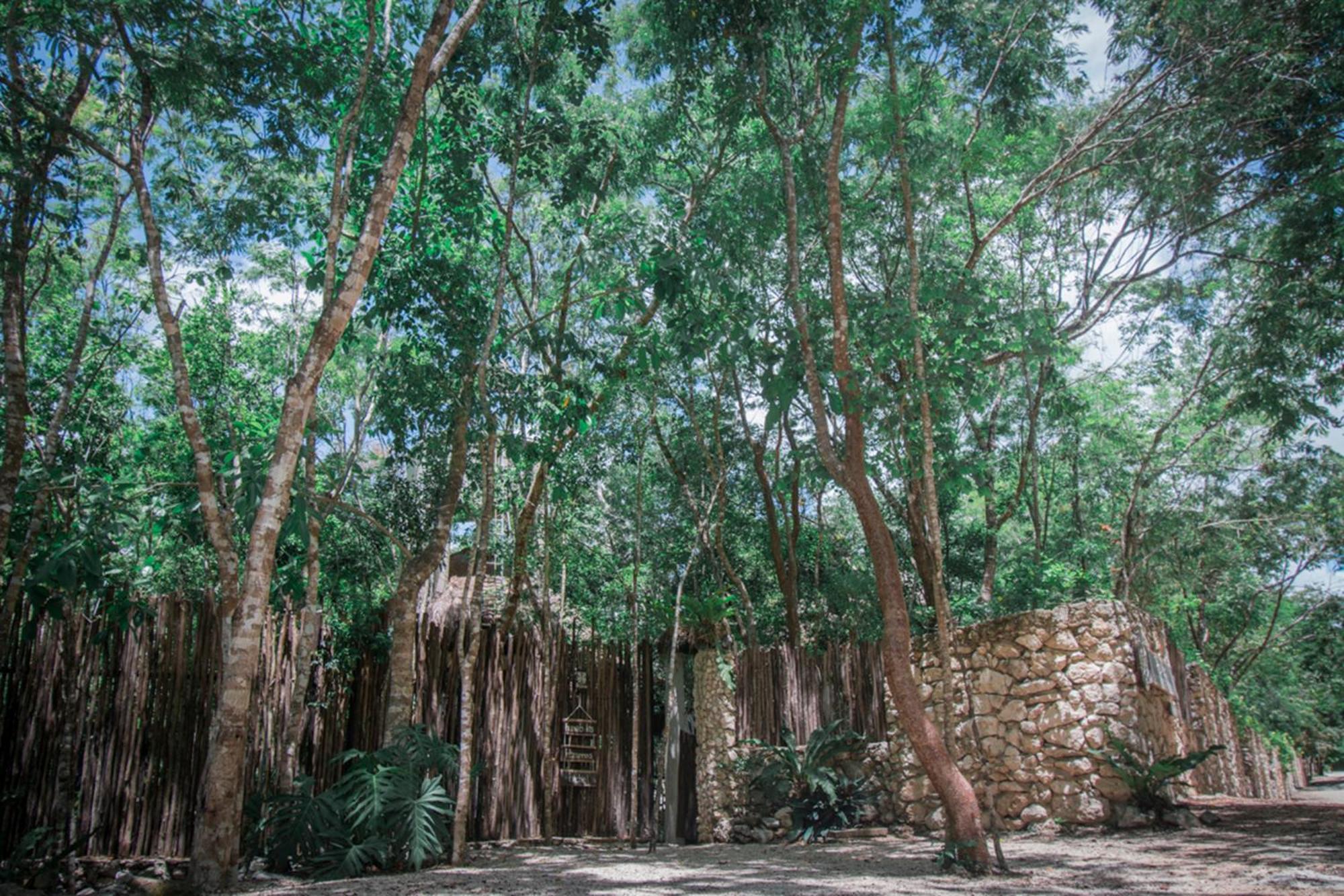 Pepem Holistic Experience - Peaceful Retreat Near Tulum (Adults Only) Villa Eksteriør bilde