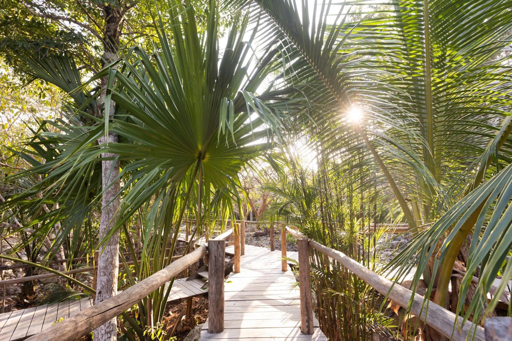 Pepem Holistic Experience - Peaceful Retreat Near Tulum (Adults Only) Villa Eksteriør bilde
